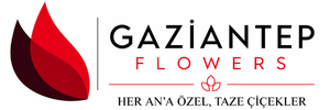 Gaziantep Flowers