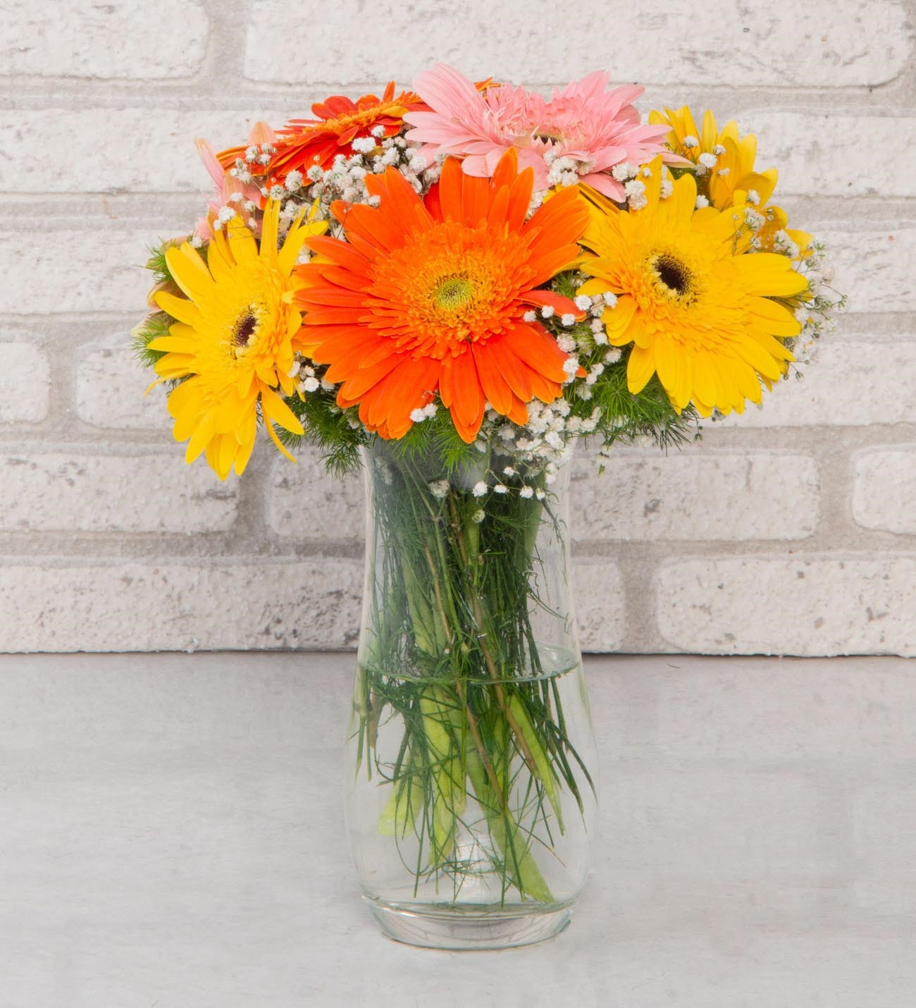 Gerbera Renk Cümbüşü
